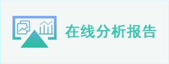 在线分析报告
